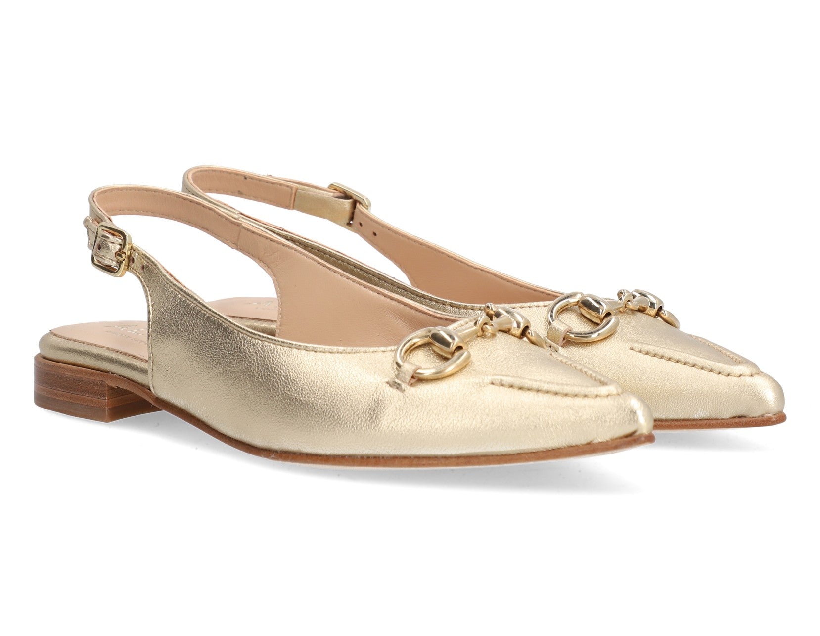 ZAPATO AUDREY DORADO 5403