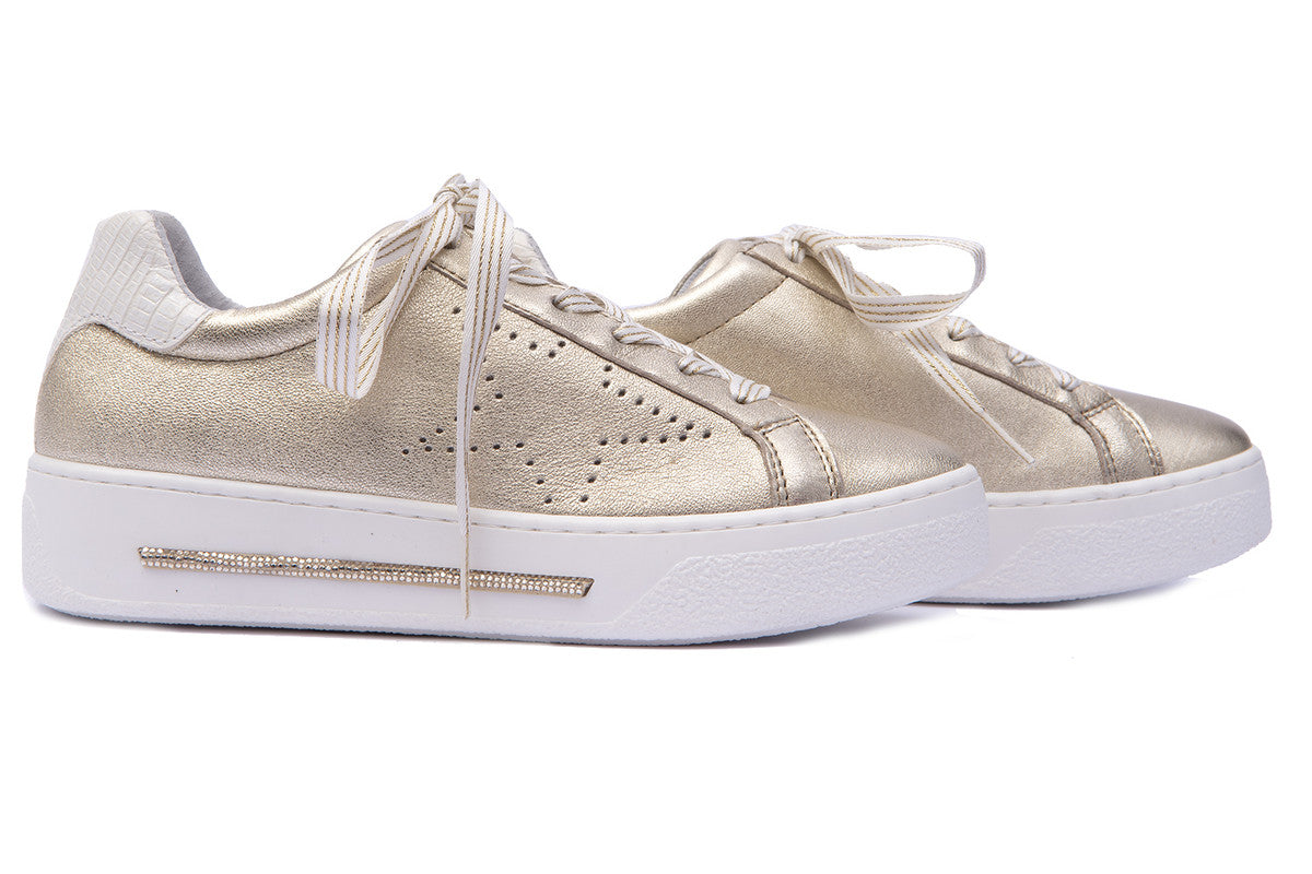 STAR PLATINO 4221