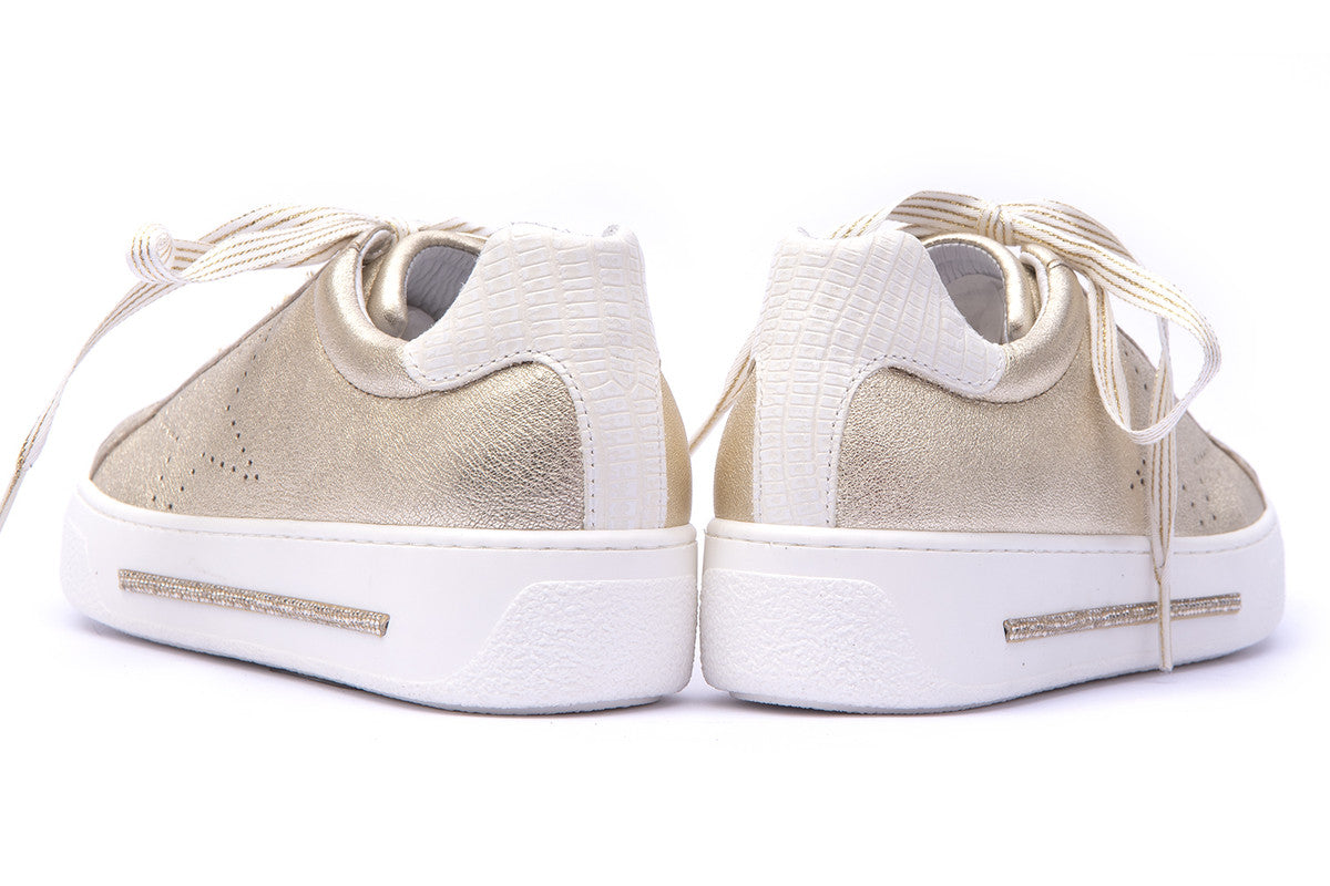 STAR PLATINO 4221