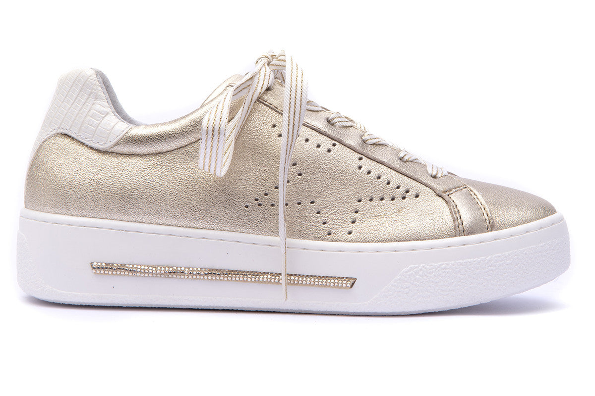 STAR PLATINO 4221