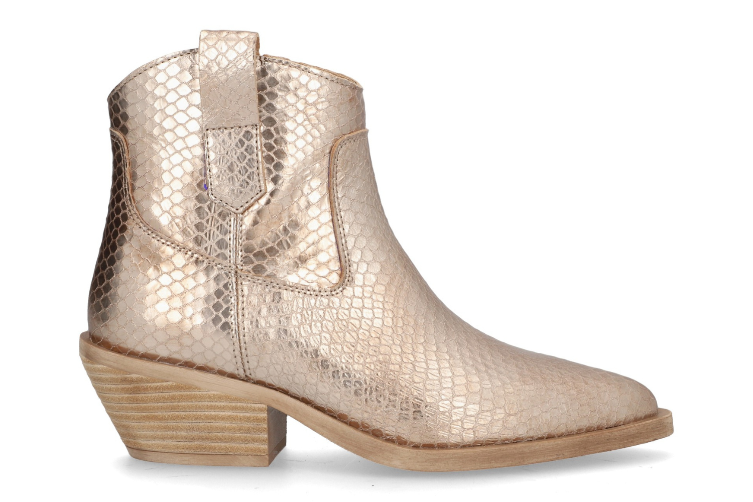 BOTIN HOLLY ROSE 5361