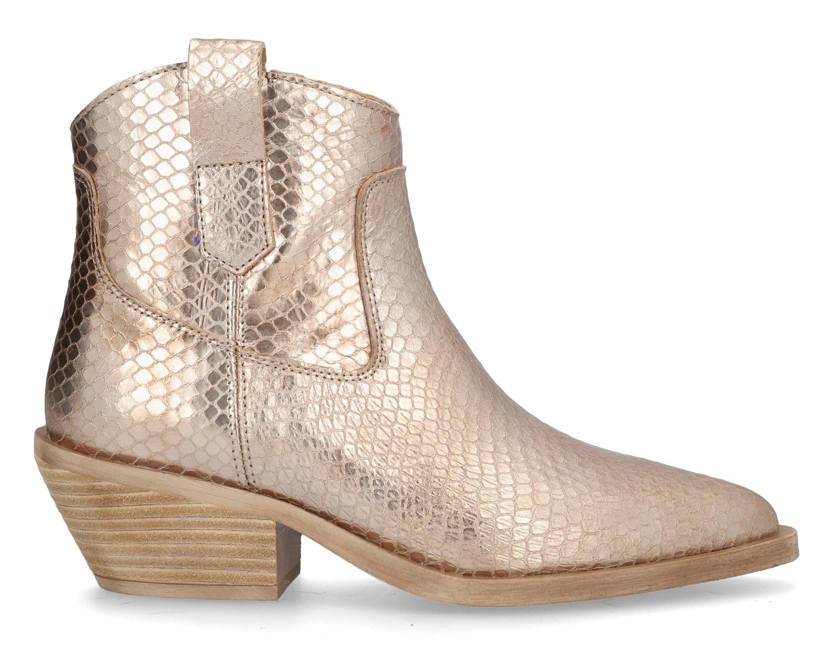 BOTIN HOLLY ROSE 5361